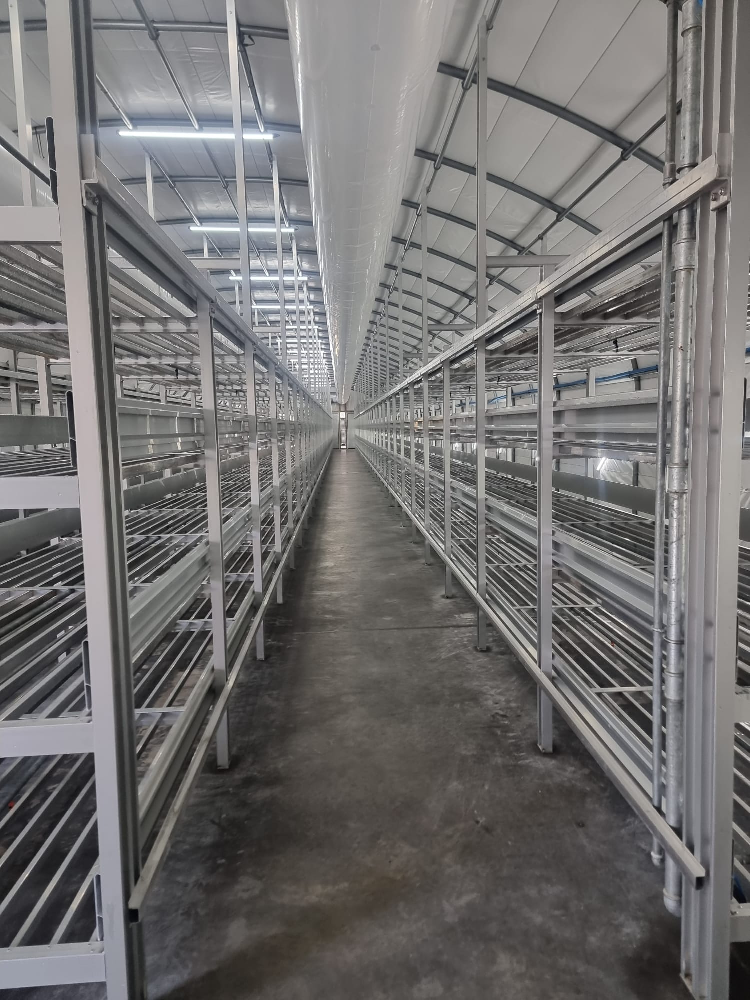 Growing room interior with TK-Shelving system