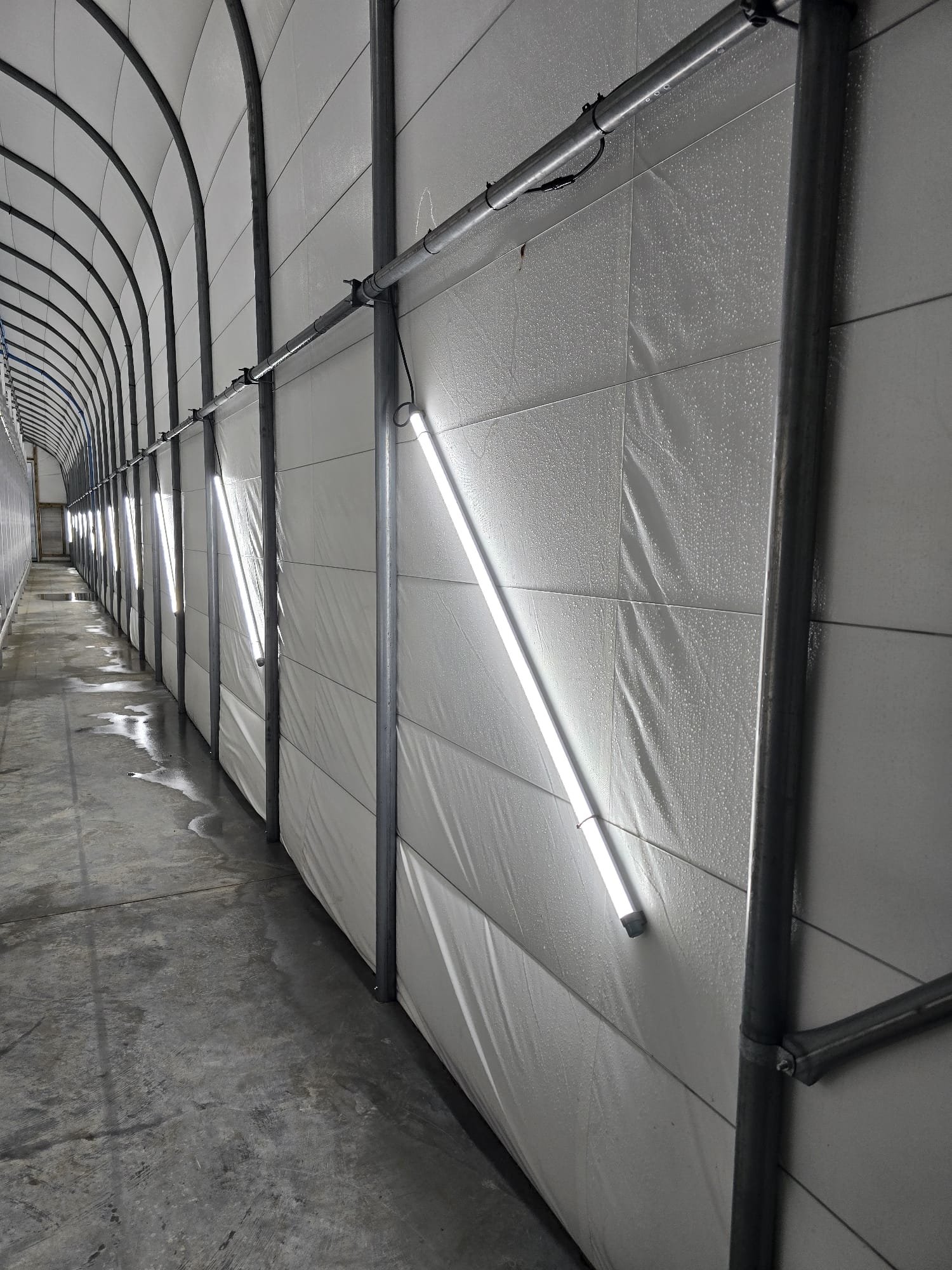 Growing room interior with Beken LED lighting